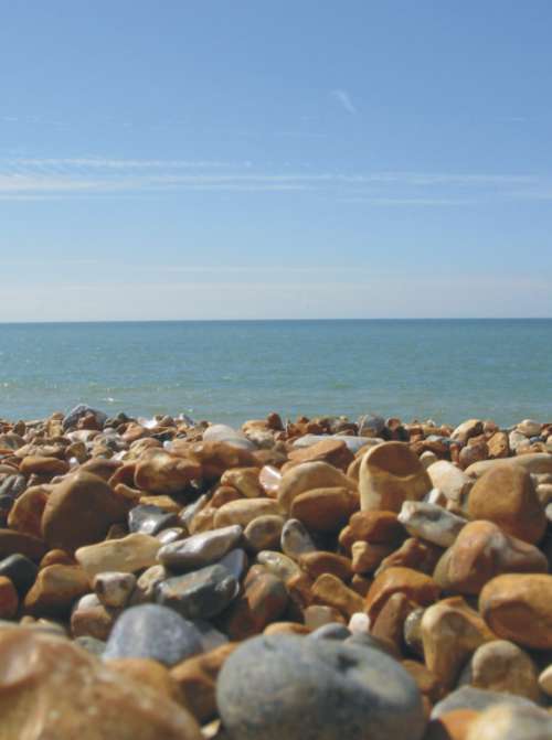 Chris Tyler Accounting